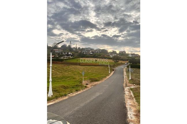 Lotes, Venta, Palmira - $350.000.000