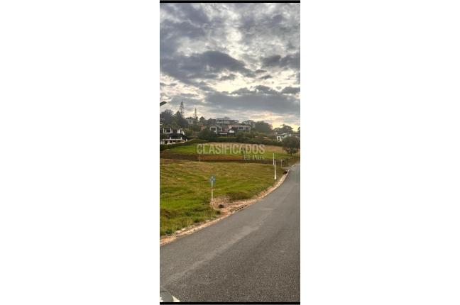 Lotes, Venta, Palmira - $350.000.000