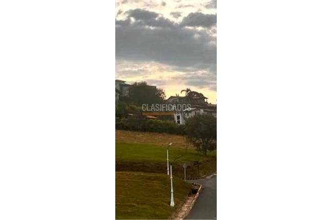 Lotes, Venta, Palmira - $350.000.000