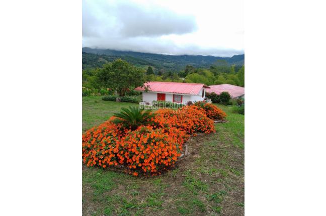 Fincas y Casas Campestres, Venta en La Cumbre