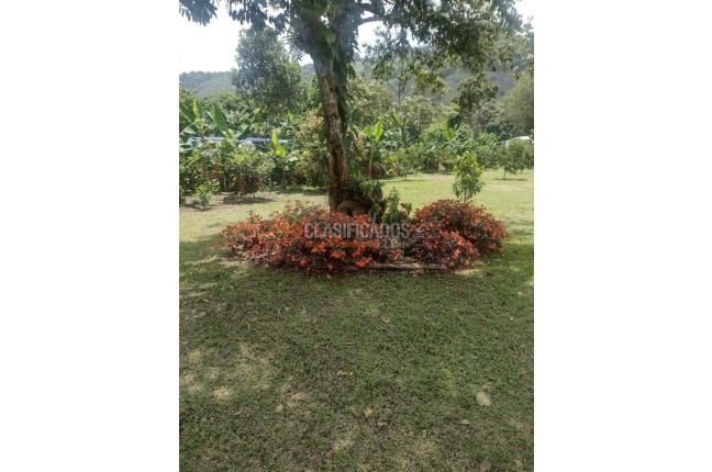 Fincas y Casas Campestres, Venta, La Cumbre - $990.000.000