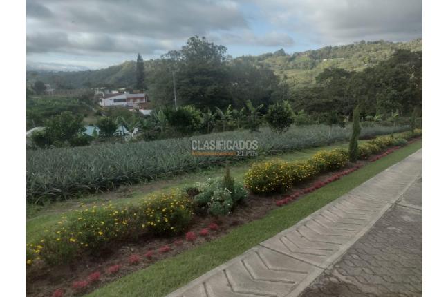 Fincas y Casas Campestres, Venta, La Cumbre - $990.000.000