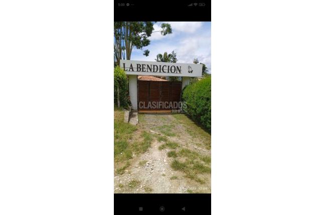 Casas, Venta, Calima (Darién) - $1.450.000.000