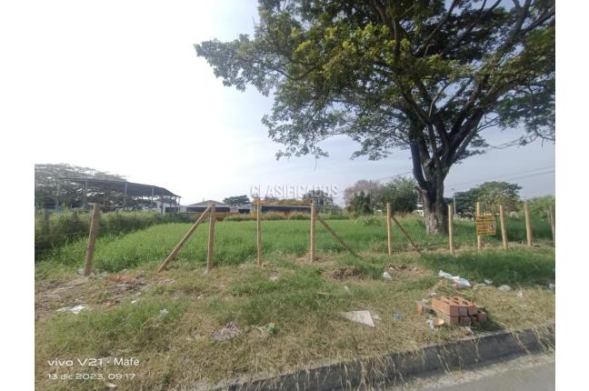 Lotes, Venta en Palmira