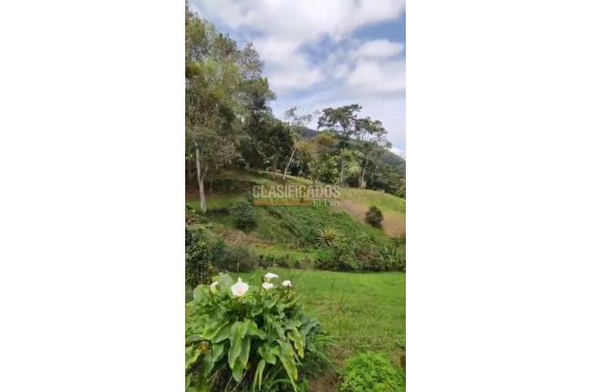 Fincas y Casas Campestres, Venta, Yumbo - $675.000.000