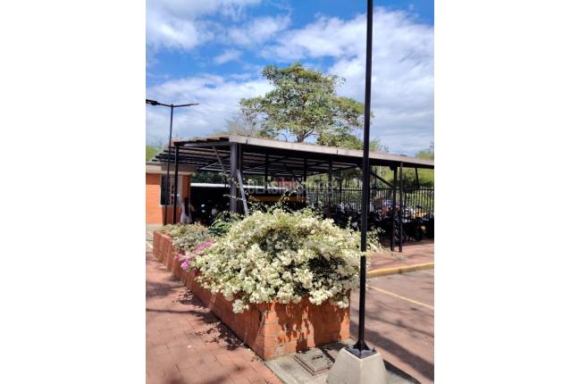 Apartamentos, Alquiler, Valle del Lili - $1.200.000