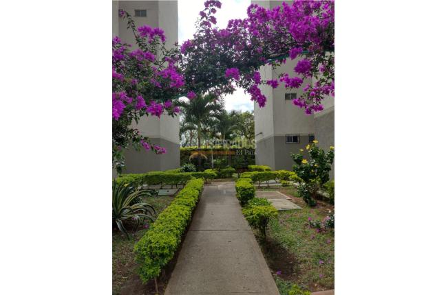 Apartamentos, Venta, Caney - $240.000.000