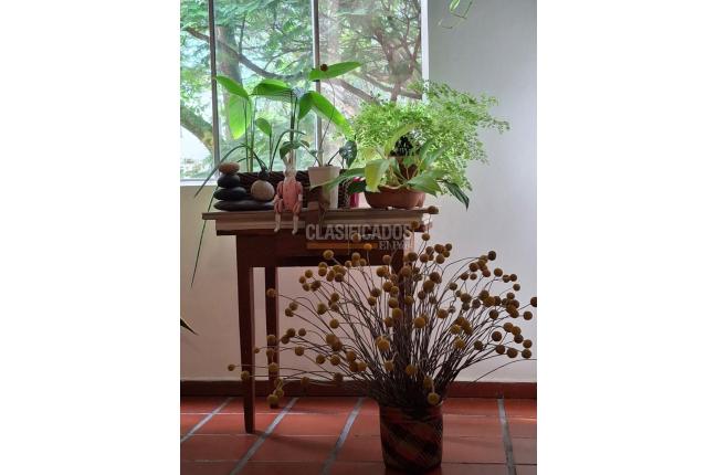 Apartamentos, Venta, El Limonar - $245.000.000