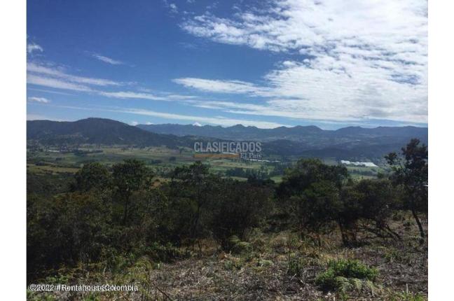 Lotes, Venta, Chía - $553.813.200