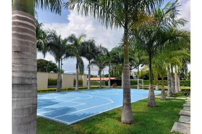 Casas, Venta, Palmira - $1.200.000.000