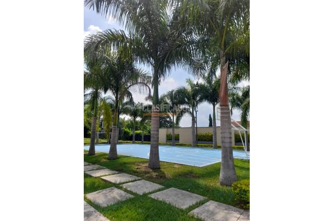 Casas, Venta, Palmira - $1.200.000.000