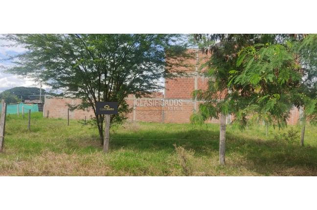 Lotes, Venta en Palmira