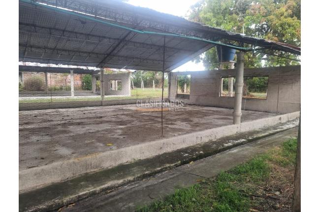 Fincas y Casas Campestres, Venta, Guacarí - $1.300.000.000