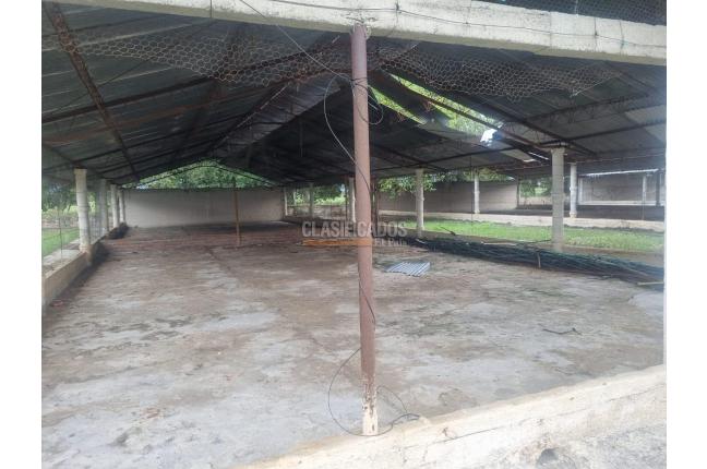 Fincas y Casas Campestres, Venta, Guacarí - $1.300.000.000
