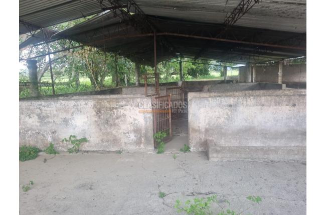 Fincas y Casas Campestres, Venta, Guacarí - $1.300.000.000