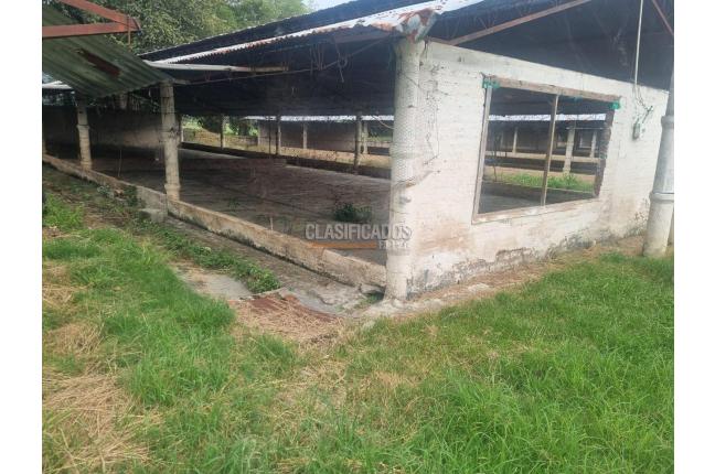Fincas y Casas Campestres, Venta, Guacarí - $1.300.000.000