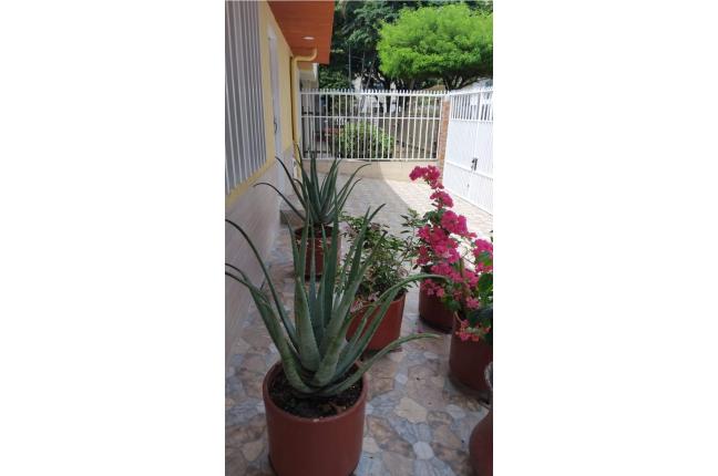 Apartaestudios, Alquiler, Vipasa - $1.000.000