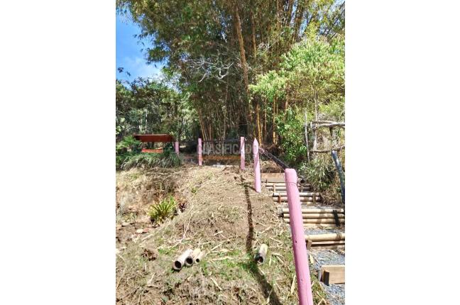 Apartamentos, Alquiler, Chorro de Plata