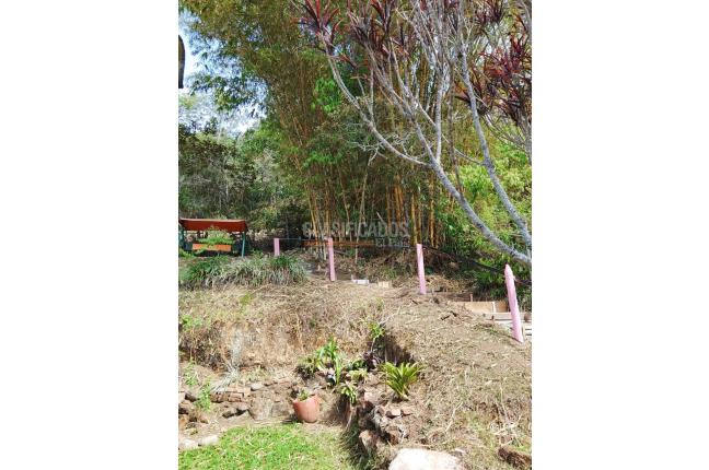 Apartamentos, Alquiler, Chorro de Plata