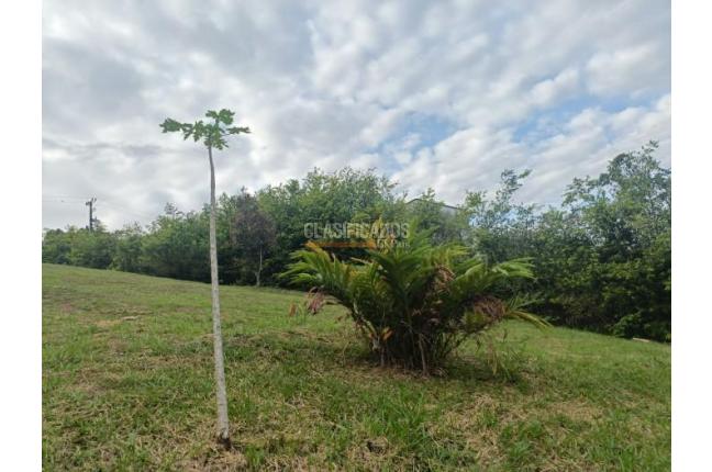 Lotes, Venta, Jamundí - $430.000.000