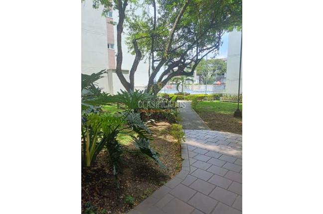 Apartamentos, Venta, Ciudad Pacifica - $295.000.000