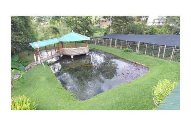 Fincas y Casas Campestres, Venta, La Cumbre - $650.000.000