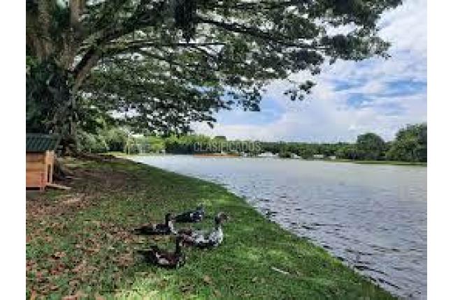 Lotes, Venta, Jamundí - $350.000.000