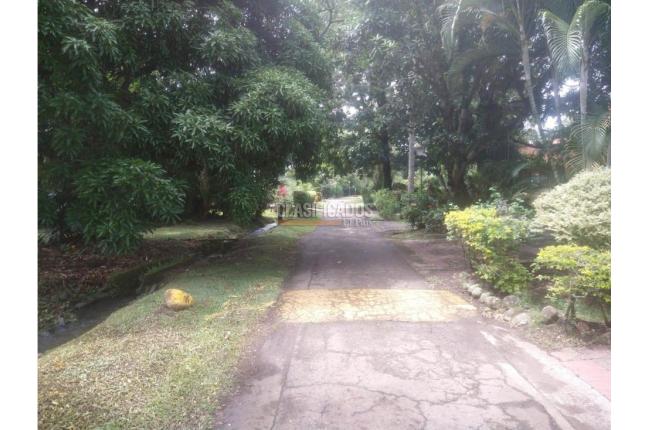 Fincas y Casas Campestres, Venta en Pance