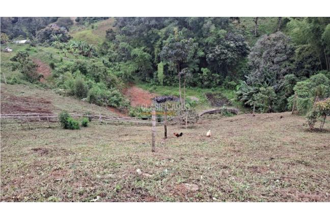 Fincas y Casas Campestres, Venta, Dagua - $320.000.000