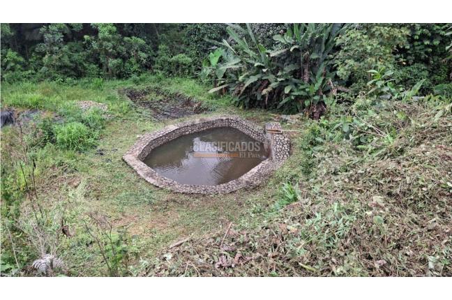 Fincas y Casas Campestres, Venta, Dagua - $320.000.000