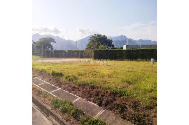 Lotes, Venta en Palmira