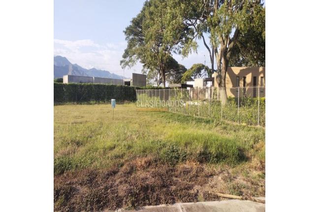 Lotes, Venta, Palmira - $487.500.000