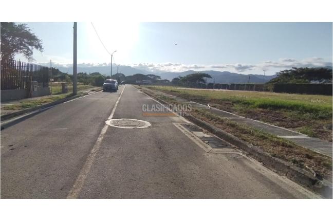 Lotes, Venta, Palmira - $487.500.000