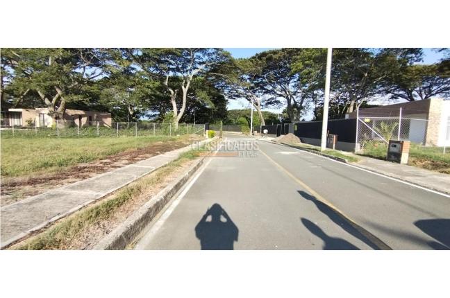 Lotes, Venta, Palmira - $487.500.000