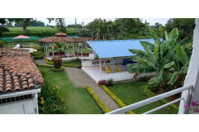 Lotes, Venta, Candelaria - $980.000.000