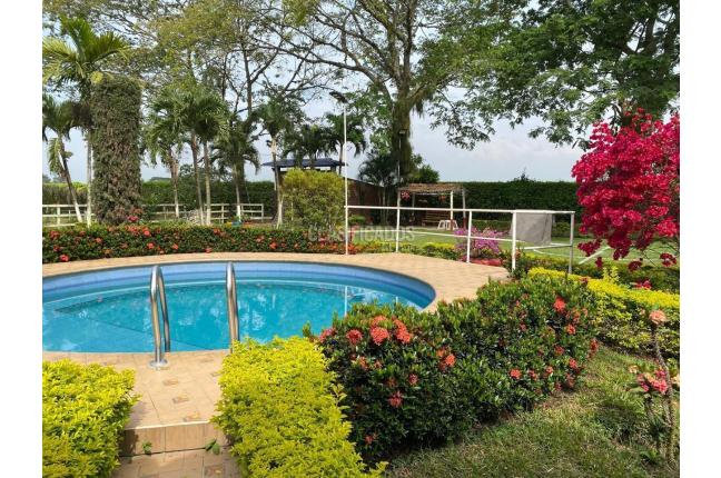 Lotes, Venta, Candelaria - $980.000.000