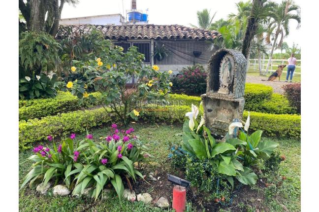 Lotes, Venta, Candelaria - $980.000.000