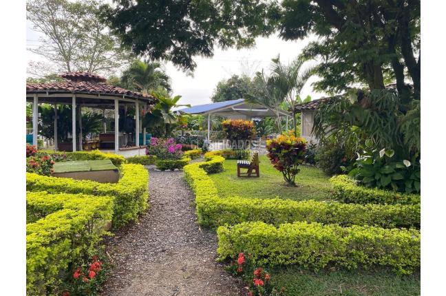 Lotes, Venta, Candelaria - $980.000.000