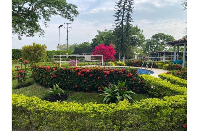 Lotes, Venta, Candelaria - $980.000.000
