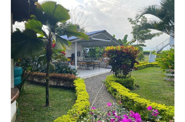 Lotes, Venta, Candelaria - $980.000.000