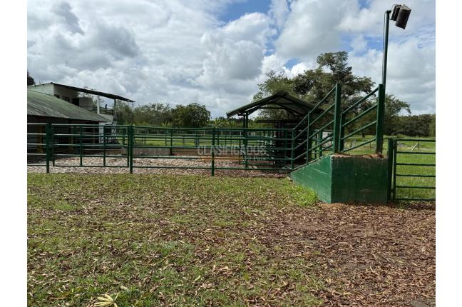 Fincas y Casas Campestres, Venta, Bugalagrande - $2.800.000.000
