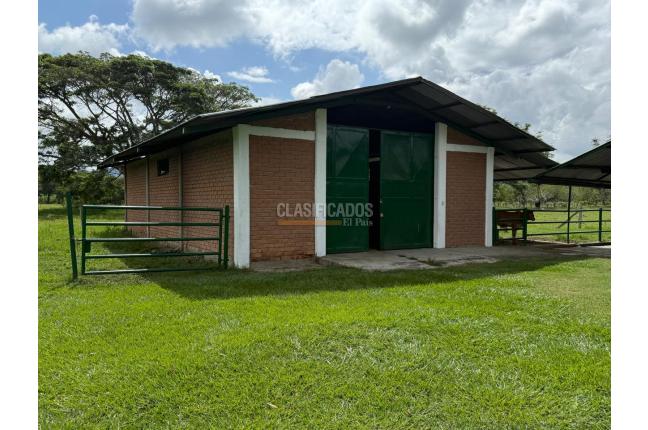 Fincas y Casas Campestres, Venta, Bugalagrande - $2.800.000.000