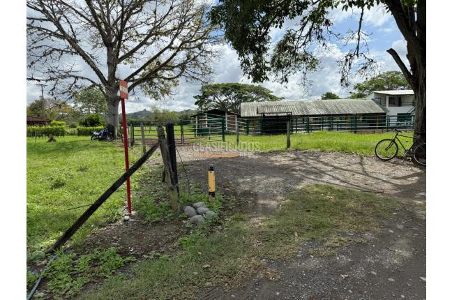 Fincas y Casas Campestres, Venta, Bugalagrande - $2.800.000.000