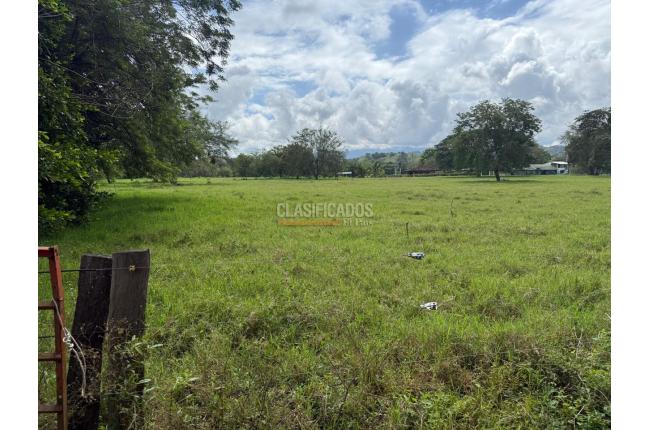 Fincas y Casas Campestres, Venta, Bugalagrande - $2.800.000.000