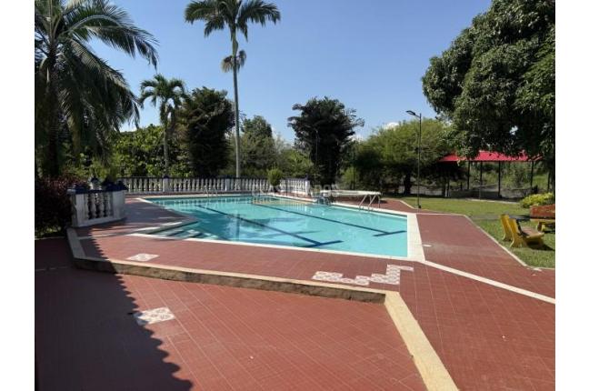 Lotes, Venta en Ginebra