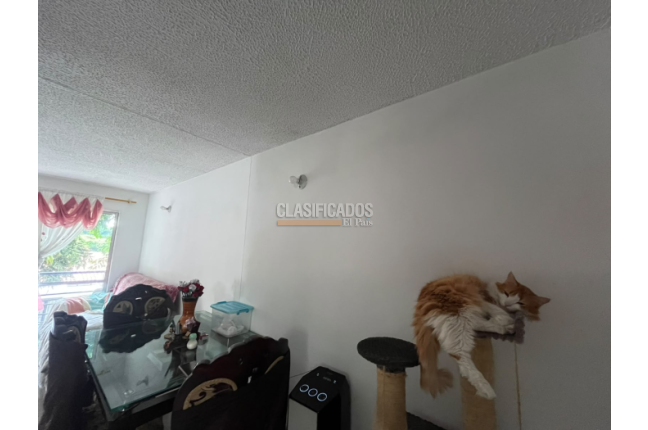 Apartamentos, Venta, Valle del Lili - $213.000.000