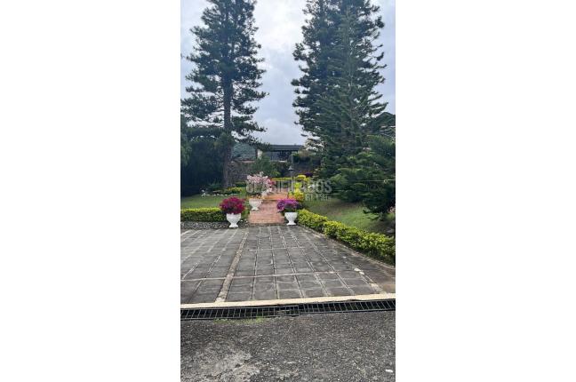 Fincas y Casas Campestres, Venta, Calima (Darién) - $950.000.000