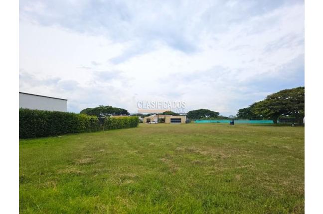 Lotes, Venta en Palmira