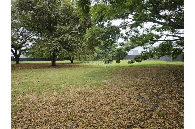 Lotes, Venta en Palmira