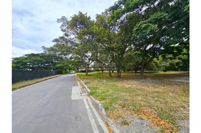 Lotes, Venta, Palmira - $480.000.000
